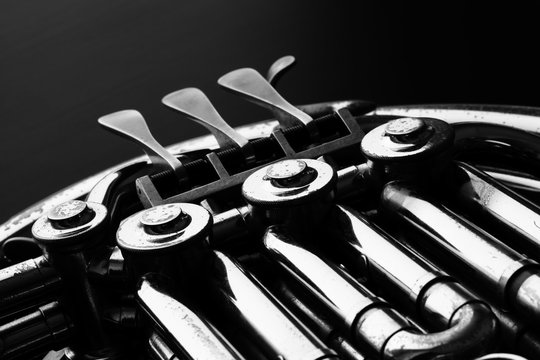 French horn, black and white