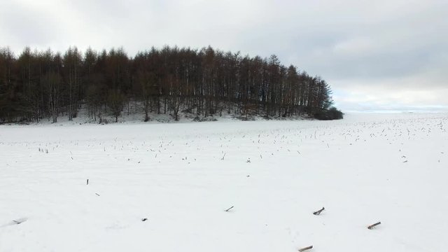 aerial view fly over winter forrest landscape in germany - dronen flight
