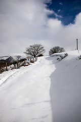 Winter in Sicily and landscape 