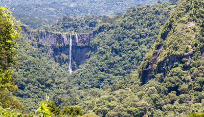 Floresta com cachoeira.