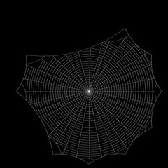 Obraz premium Spiderweb. Isolated on black background. Sketch illustration.