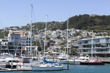 Wellington City Marina © Ramunas