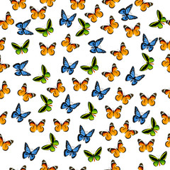 Obraz na płótnie Canvas illustration of a colorful butterfly