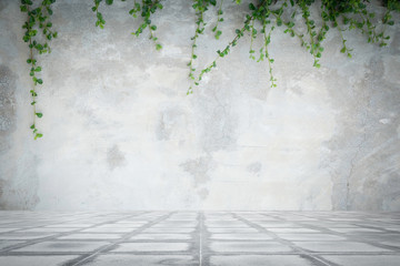 Concrete wall and concrete floor with ornamental plants or ivy or garden tree.