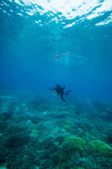 Scuba diver. Sipadan island. Celebes sea. Malaysia.