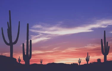 Deurstickers Southwest Desert - Vintage kleurrijke zonsondergang in de woestijn van het Wilde Westen van Arizona met Cactus © dcorneli