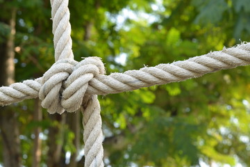 Rope knot line tied together with nature background,as a symbol for trust, teamwork or collaboration