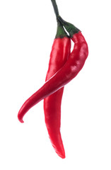 red hot chili pepper isolated on a white background