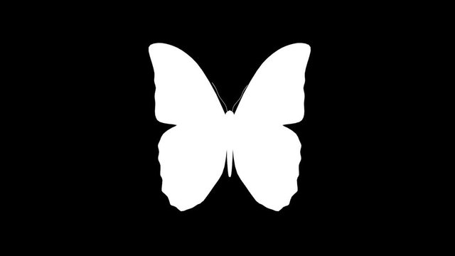 a butterfly flaps its wings on a green background