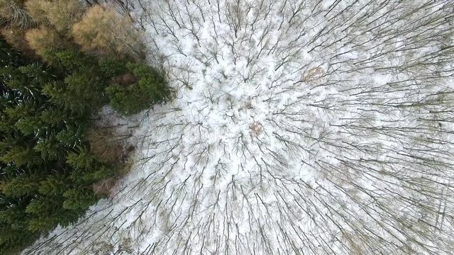 aerial view fly over winter forrest landscape in germany - dronen flight