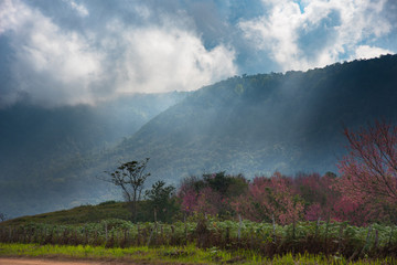 beautiful mountain sceneries