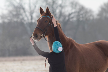 Obraz premium Pferd im Winter