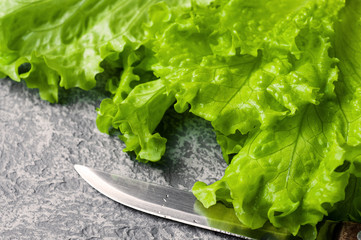 fresh organic green salad