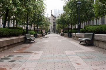 Empty pedestrain walkway in Old Montreal, Quebec, Canada.  Park benches, trees, and scrubs line the brick pavel promenade in Montreal. © Heather Shimmin
