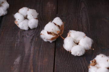  white cotton on wooden table