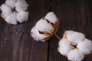  white cotton on wooden table