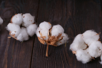  white cotton on wooden table