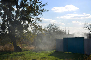 Fototapeta na wymiar The October landscape with a big tree and the yard of a private house in the village, from which knocks the smoke from cooking kebabs