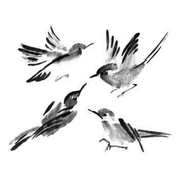 Sumi-e ink collection of birds. Watercolor painting