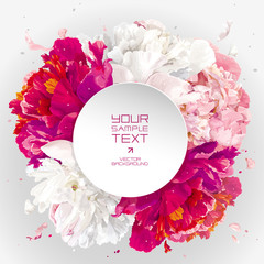 Pink, red and white peony background - 133549220
