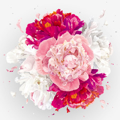 Pink, red and white peonies composition © LisaShu
