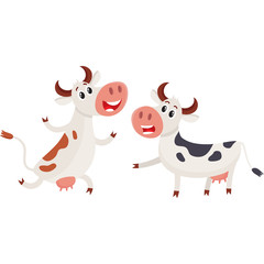 Two spotted Dutch cows talk and dancing, running, cartoon vector illustration isolated on white background. Funny cow characters for dairy farm product design
