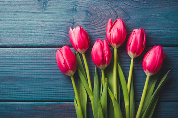Pink tulips on blue wood.