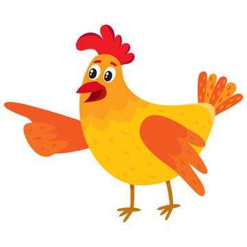 Funny cartoon red and orange chicken, hen pointing to something with wing, cartoon vector illustration isolated on white background. Cute and funny colorful chicken looking and pointing to something