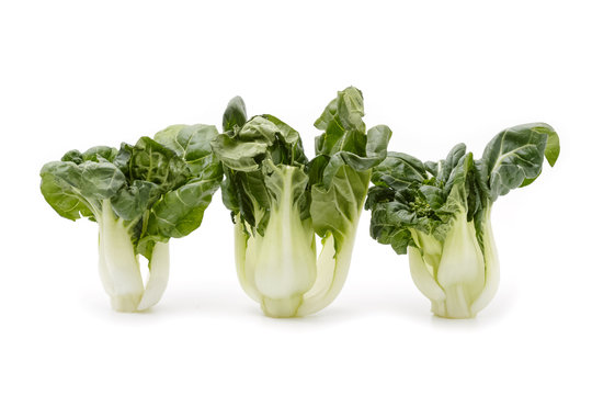 Bok Choy Vegetable Isolated On The White Background