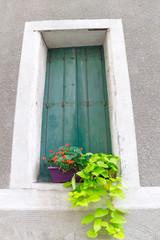 Fototapeta na wymiar Residential wall green windows shutter closeup with two pot plants Saint Chinians, France.