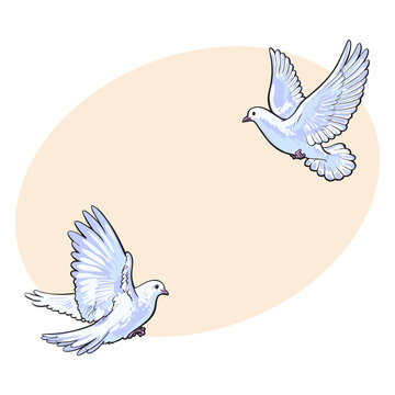 Two free flying white doves, sketch vector illustration isolated on background with place for text. Realistic hand drawn couple of white doves, pigeons flapping wings, symbol of love and romance