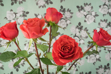 Gorgeous roses for holidays.