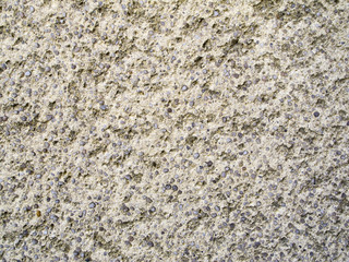 plaster with gravel rough