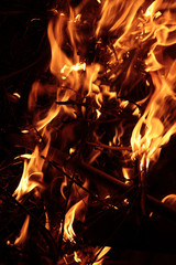 High flamed wood fire in  dark background
