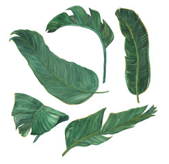 Watercolor painting Banana leaves seamless pattern