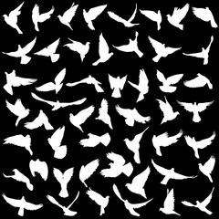 Concept of love or peace. Set silhouettes doves. Vector illustration