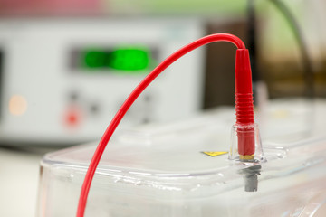 Close-up detail of a red wire from one of the electrical terminals of an agarose gel electrophoresis chamber. Gel electrophoresis is used to diagnose genetic diseases, cancers, and for research.