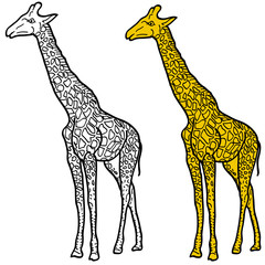 Sketch of high African giraffe on a white background. Vector illustration