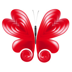 beautiful butterflies, isolated on a white