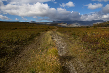 Fototapeta na wymiar Country road leading into the mountains. Autumn in the mountains. Polar Urals. Russia.