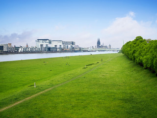 Köln Kranhäuser Panorama im Frühling