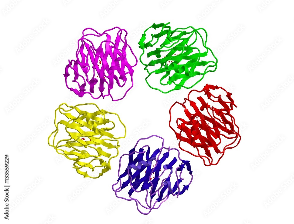 Sticker Molecular structure of Serum amyloid P component, 3D rendering