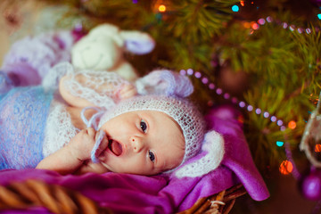 The baby lies in the basket near Christmas Tree