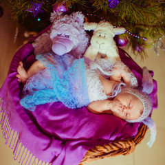 The baby lies in the basket near Christmas Tree