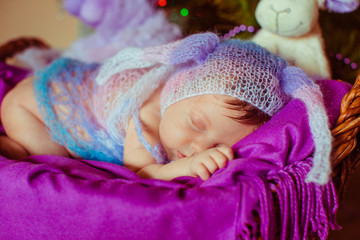 The baby lies in the basket near Christmas Tree