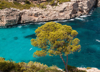 Panoramic view of Calo des Moro beach 