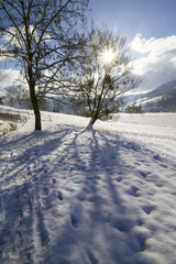 Obraz premium Schnee Winter