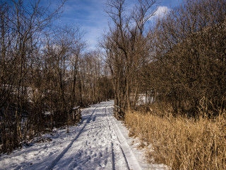 sentiero innevato nelle Dolomiti