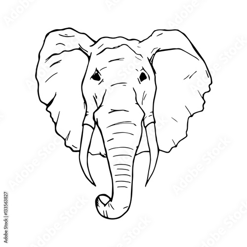 "Elephant isolated on white" Stock image and royalty-free vector files