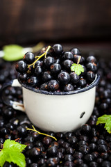 Fresh delicious organic black currant